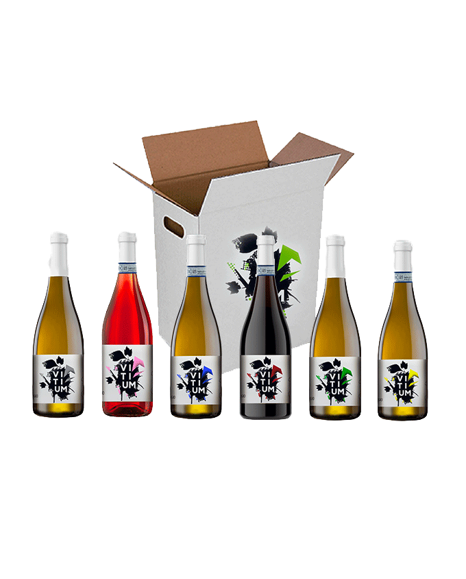 Cubo Vitium – Cartone con sei referenze della linea Vitium